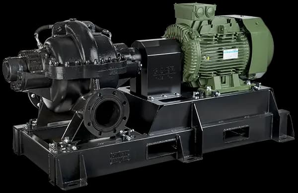 SKDZ variant 5 motor-pump assembly