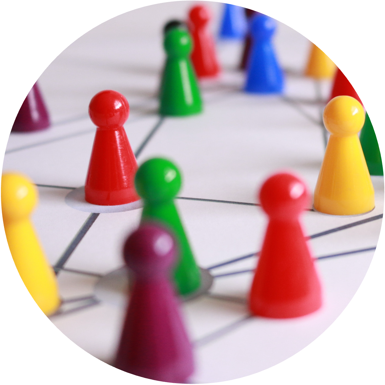 Comprehensive network