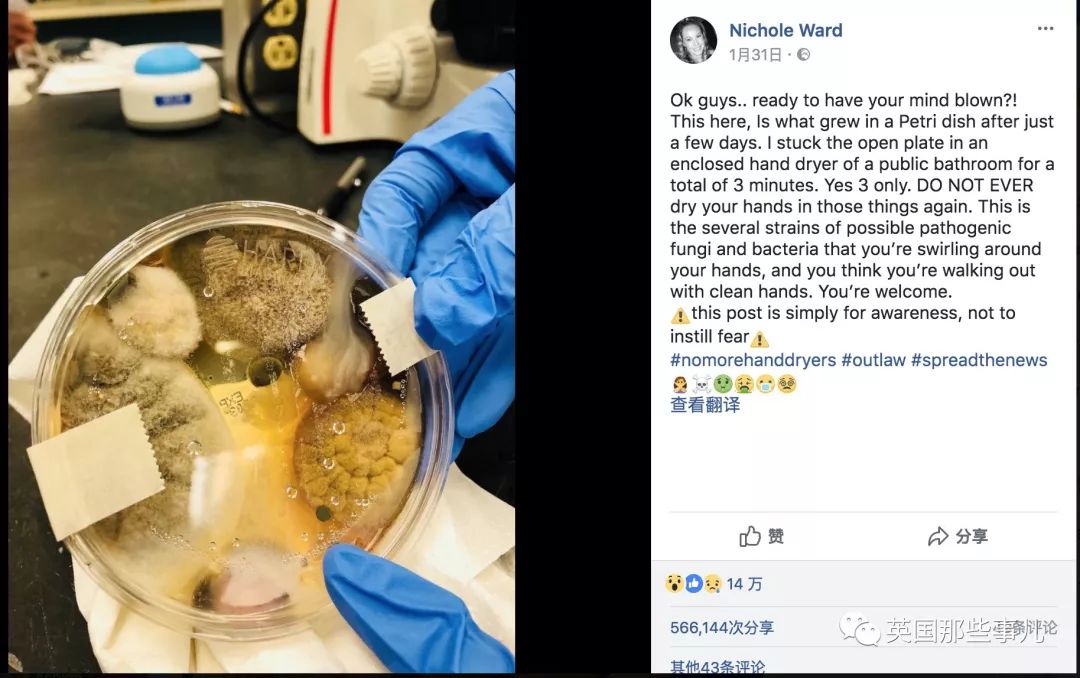 培养皿实验结果显示烘干机内部滋生的大量细菌菌落，证明烘干机卫生隐患